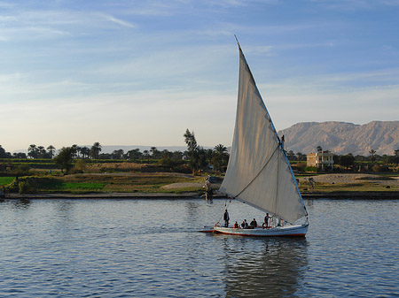 Fotos Felucca | 