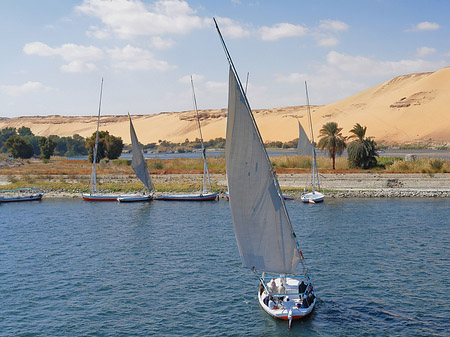 Foto Felucca