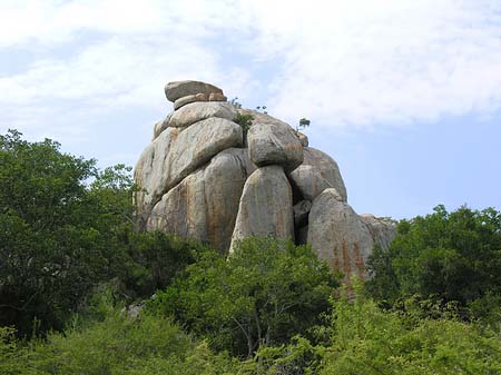 Felsen
