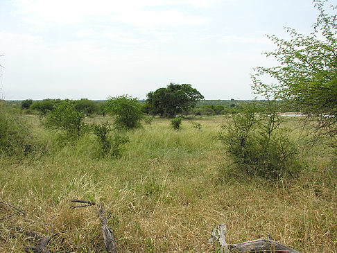 Landschaften Foto 