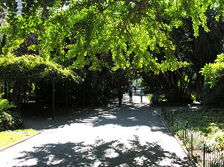 Foto Kapstadt und Camps Bay