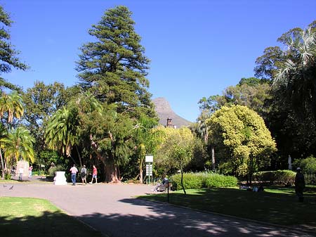 Fotos Kapstadt und Camps Bay | 
