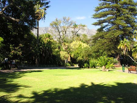 Kapstadt und Camps Bay