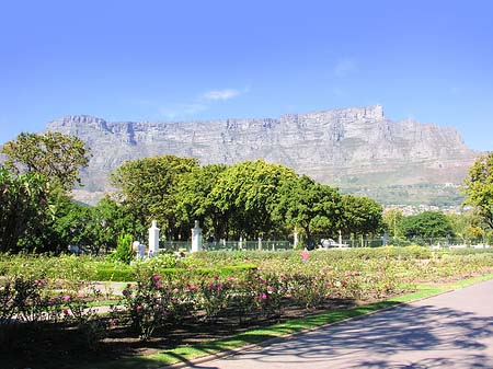 Fotos Kapstadt und Camps Bay | 