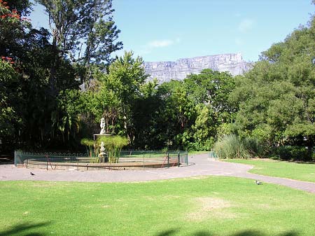Fotos Kapstadt und Camps Bay | 