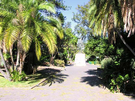 Fotos Kapstadt und Camps Bay | 