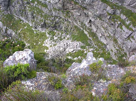 Fotos Kapstadt und Umgebung | 